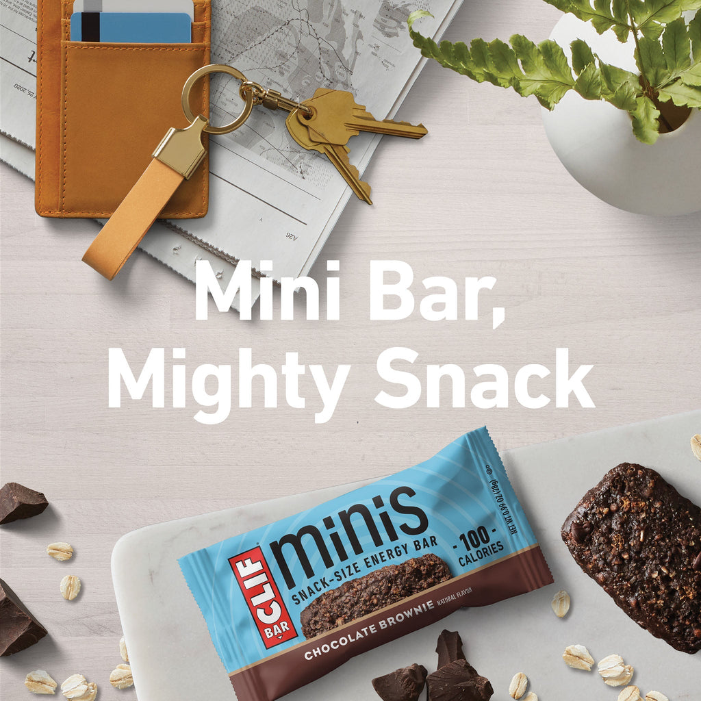 Chocolate Brownie Flavor Minis V5
