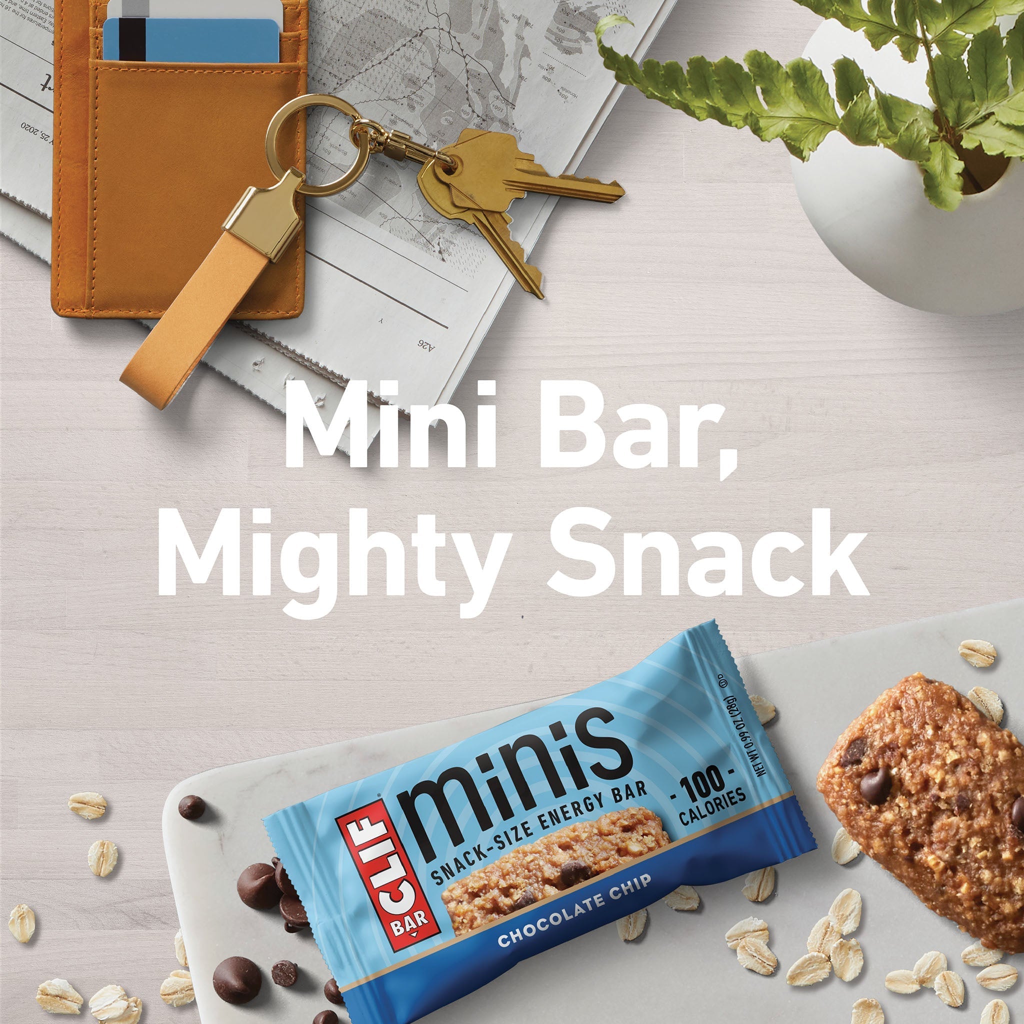 Chocolate Chip Minis U4