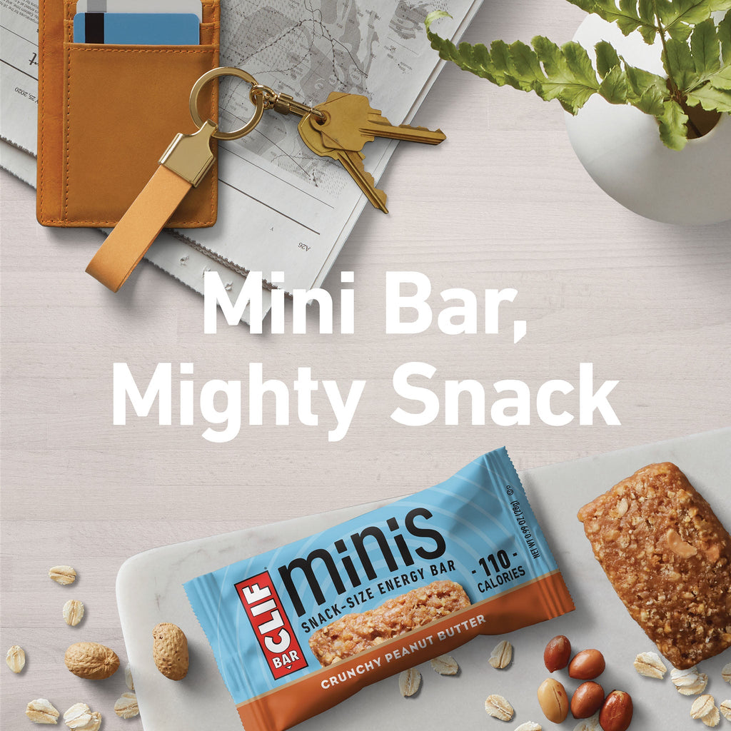 Crunchy Peanut Butter Minis Y8