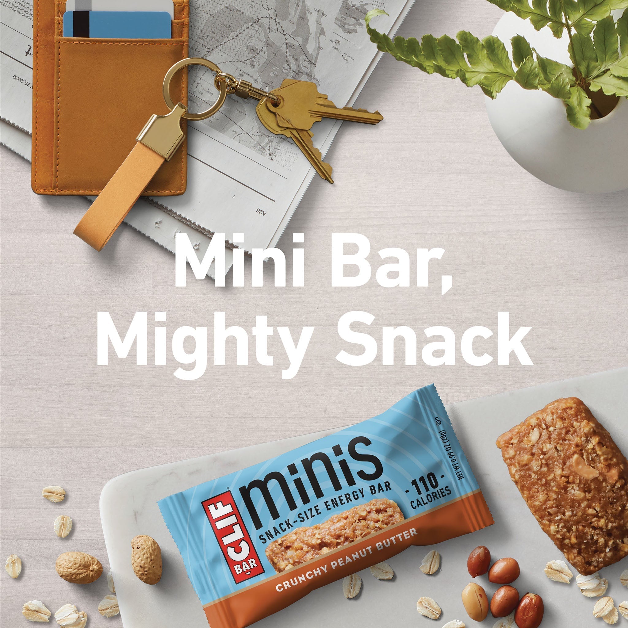 Crunchy Peanut Butter Minis Y8
