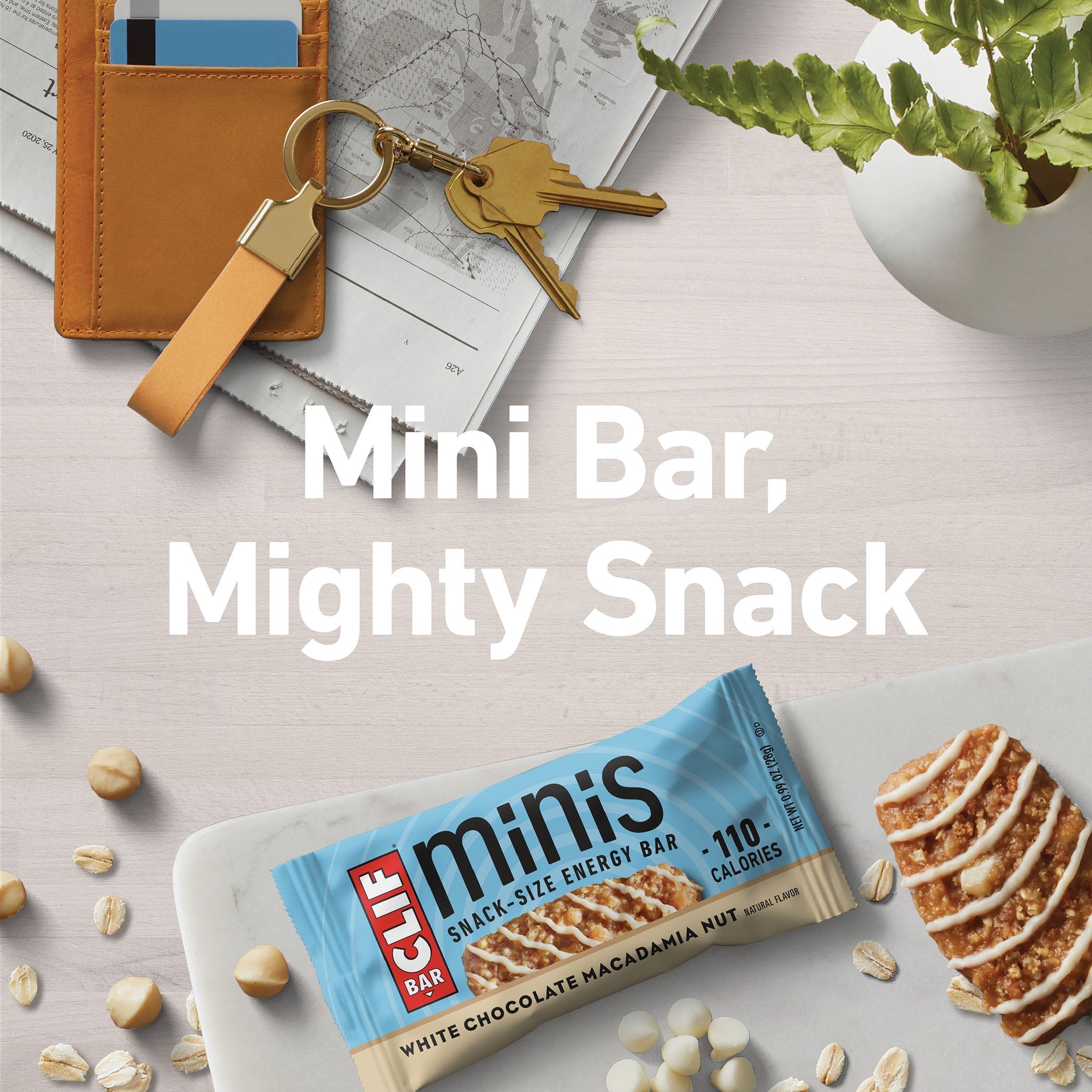 White Chocolate Macadamia Nut Flavor Minis F9